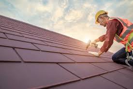 Best Roof Maintenance and Cleaning  in Hopkins, MN